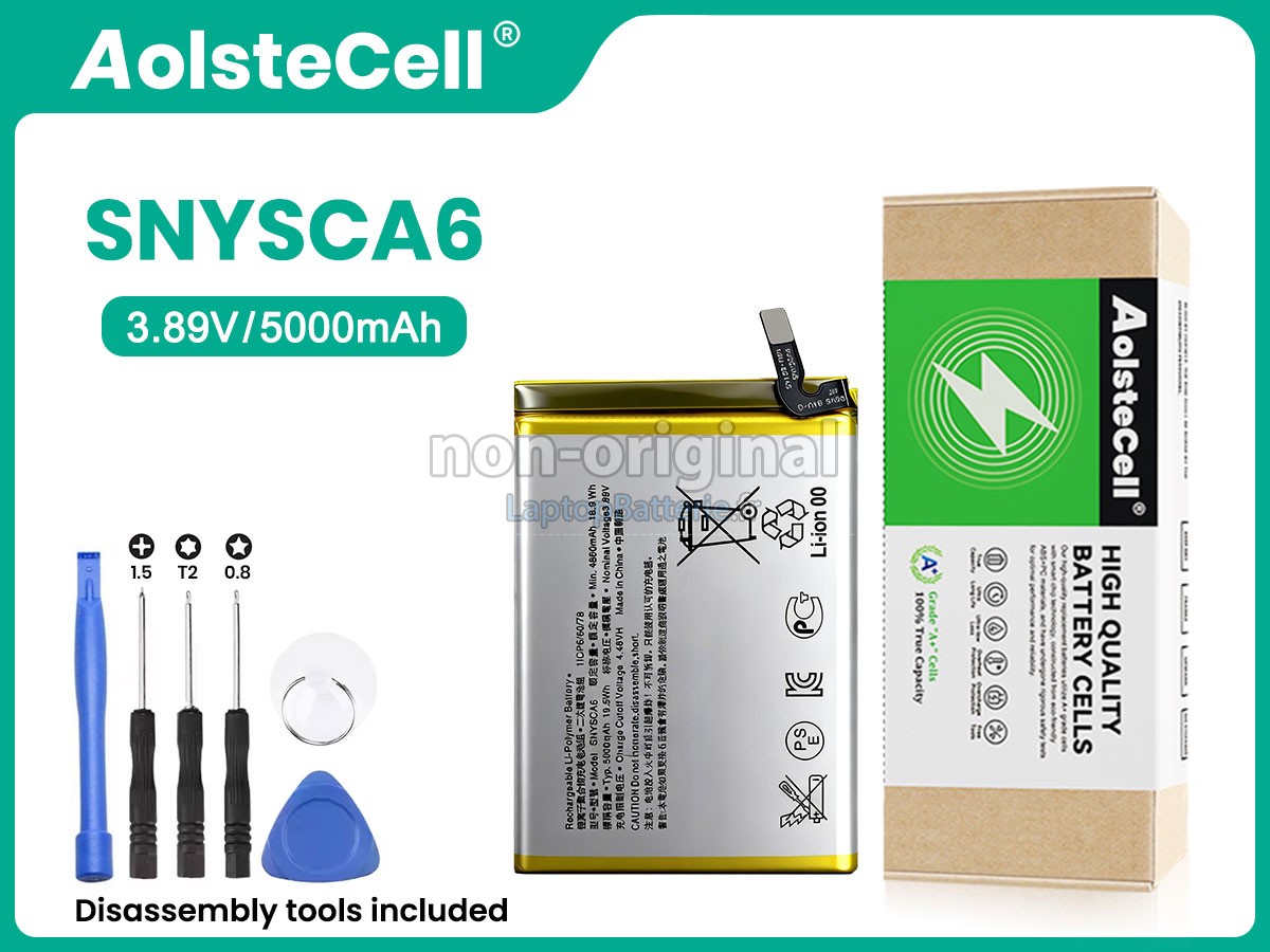 Batterie pour Sony SNYSCA6