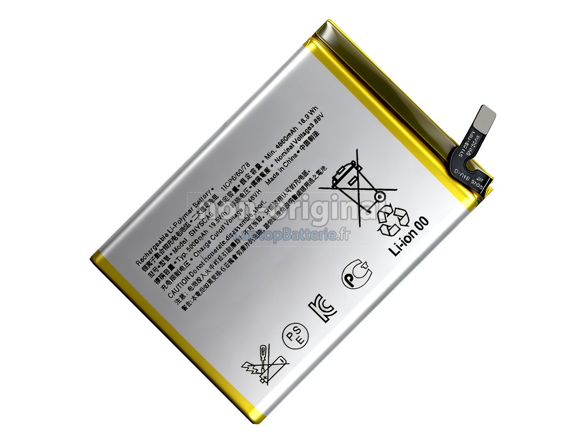 Batterie pour Sony SNYSCA6