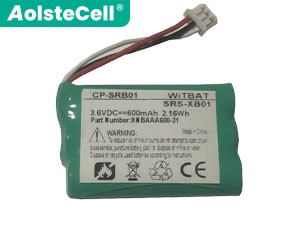 Batterie pour ordinateur portable Sony HNBAAA600-31