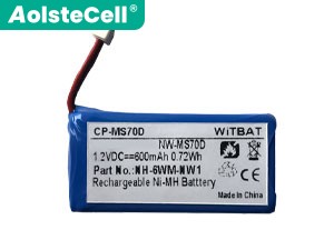 Batterie pour ordinateur portable Sony NH-6WM-NW1