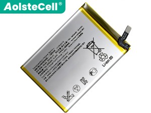 Batterie pour ordinateur portable Sony SNYSCA6