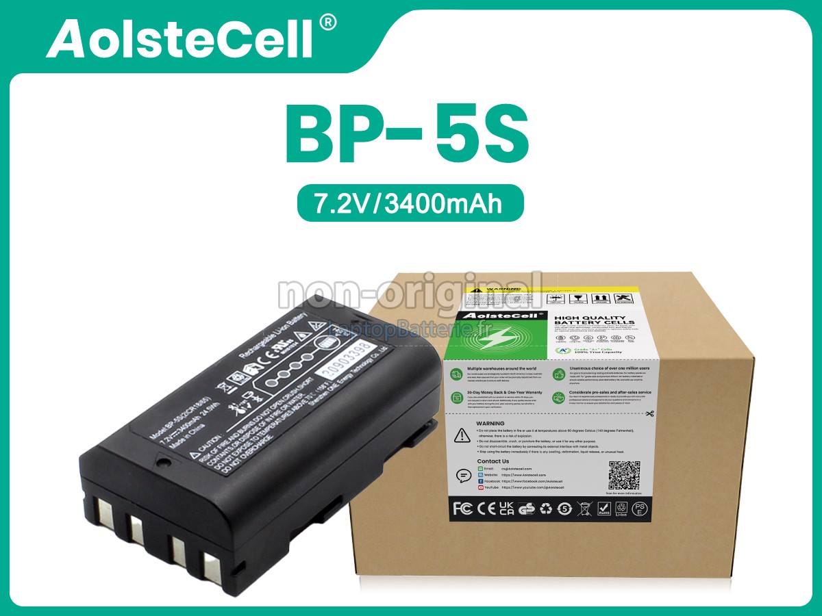 Batterie pour Stonex P9