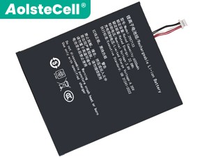 Batterie pour ordinateur portable Teclast 2957133