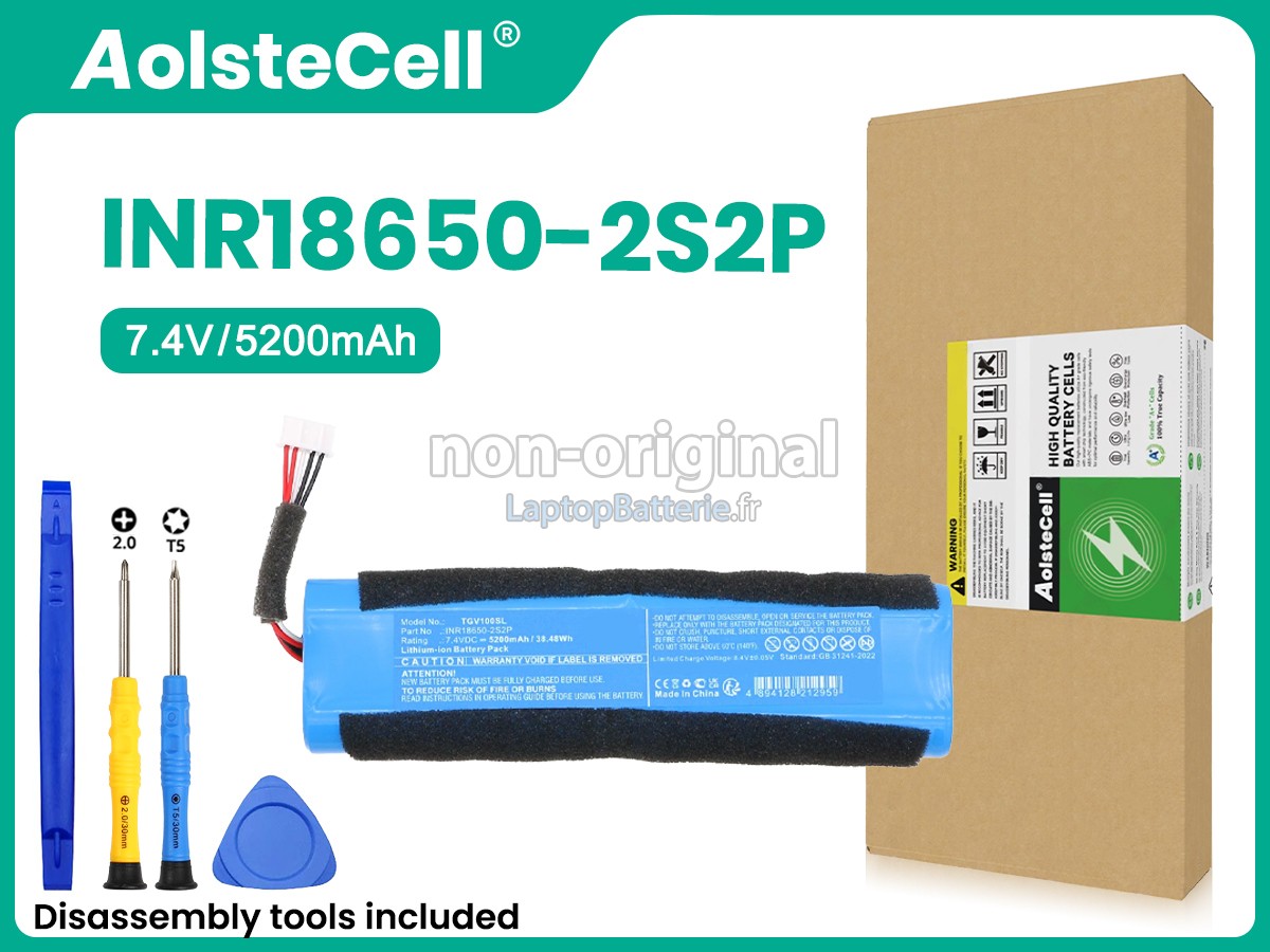 Batterie pour Teufel TGV100SL