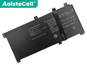 Batterie pour ordinateur portable TongfangPC SZ810