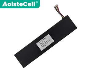 Batterie pour ordinateur portable TongfangPC B20-7A