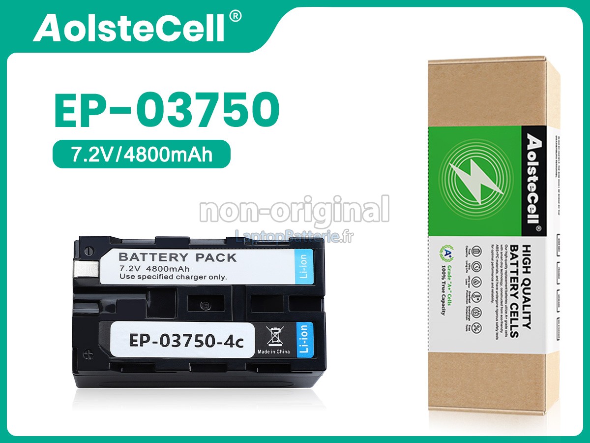 Batterie pour Tsi 10198