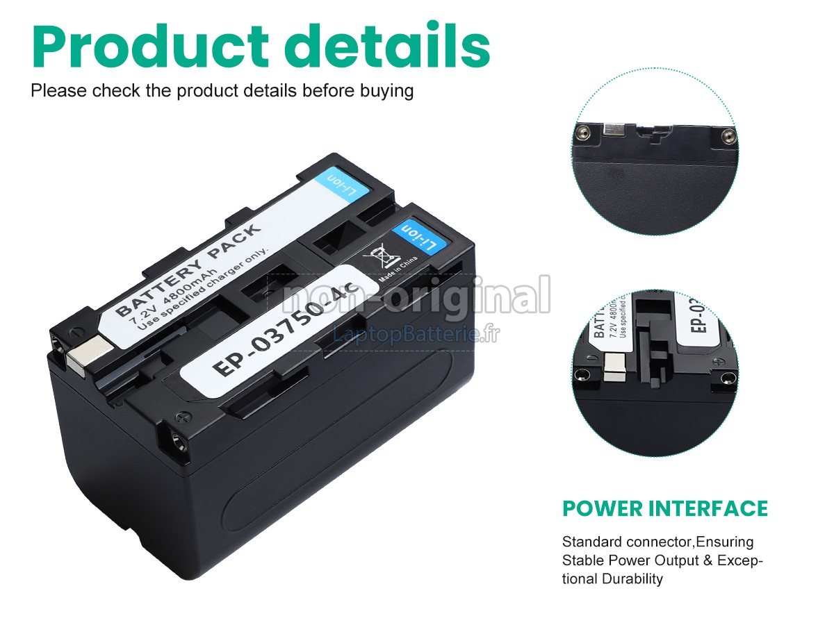Batterie pour Tsi 10198