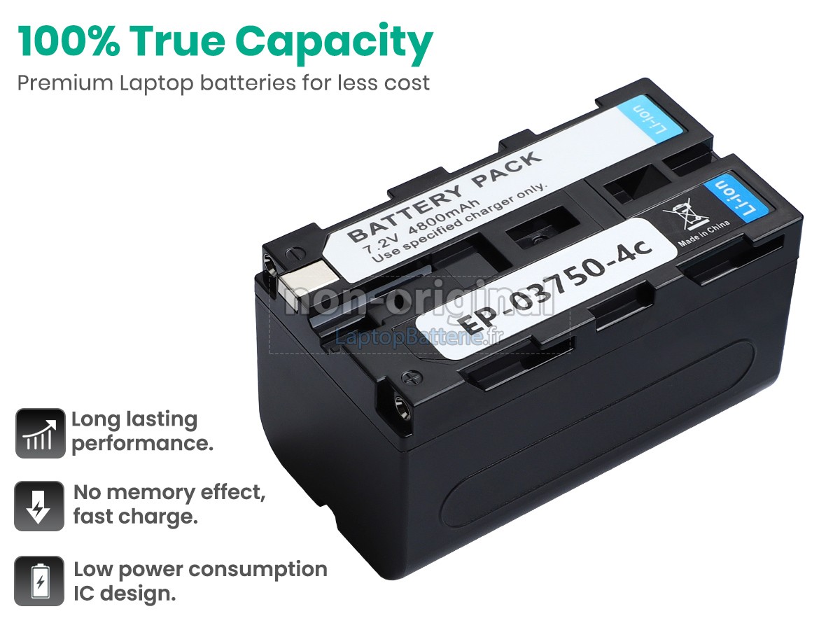 Batterie pour Tsi 10198