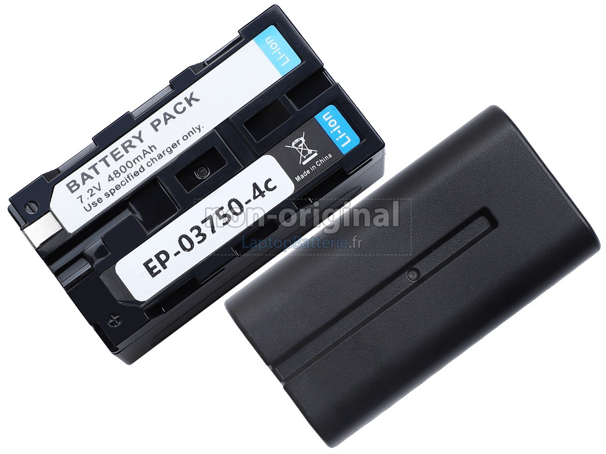 Batterie pour Tsi 10198