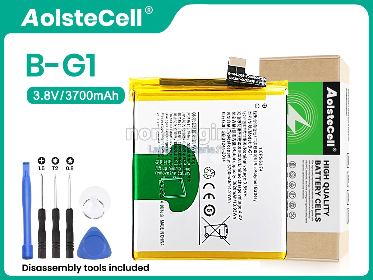 Batterie pour Vivo B-G1
