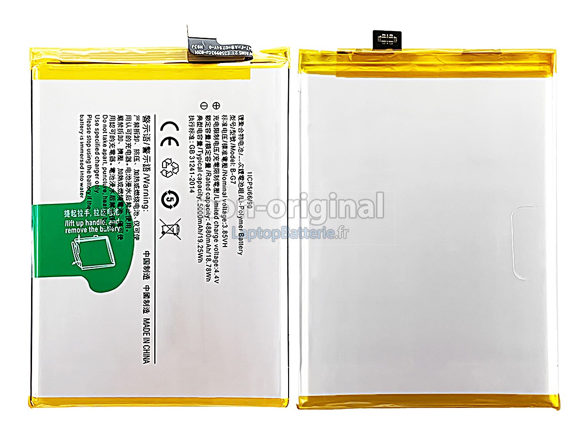 Batterie pour Vivo B-G7