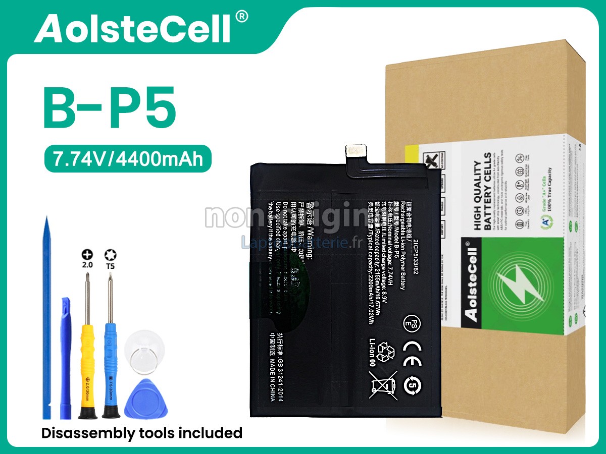 Batterie pour Vivo B-P5
