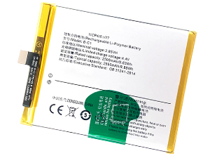 Batterie pour Vivo B-C1
