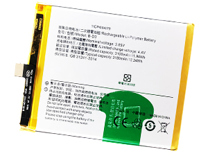 Batterie pour Vivo B-D3