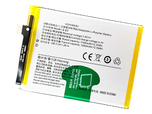 Batterie pour Vivo B-E5