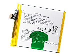 Batterie pour Vivo B-G1