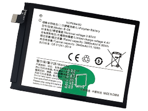 Batterie pour Vivo B-G6