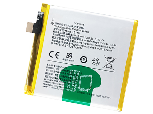 Batterie pour Vivo B-H1