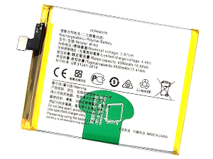 Batterie pour Vivo B-K6