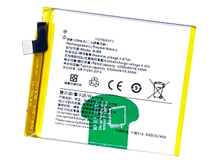 Batterie pour Vivo X50e
