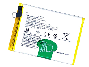Batterie pour Vivo B-M6