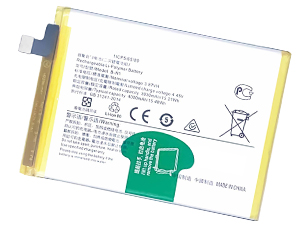 Batterie pour Vivo B-N1