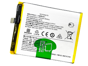 Batterie pour Vivo B-N2