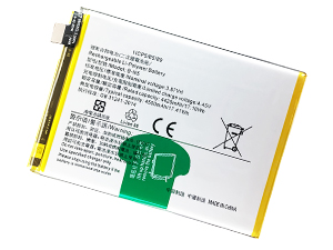 Batterie pour Vivo B-N5