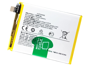 Batterie pour Vivo V20