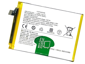 Batterie pour Vivo B-O1