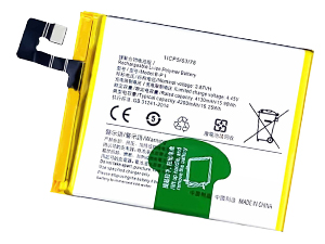 Batterie pour Vivo B-P1
