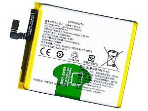 Batterie pour Vivo B-R6