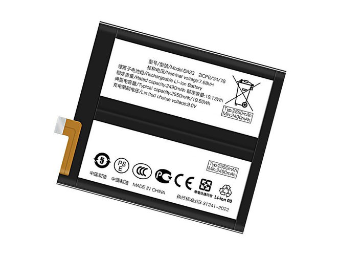 Batterie pour Vivo X100S