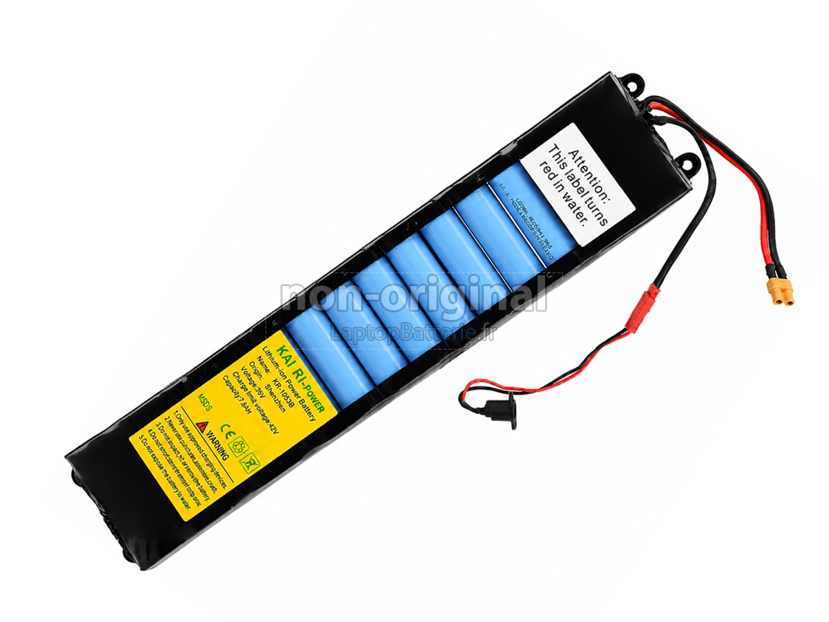 Batterie pour XiaoMi M365 MI ELECTRIC SCOOTER ESSENTIAL
